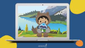 Formation Consultant Salesforce